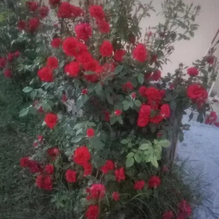 아파트 Il Mulino Di Geminella