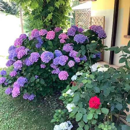 아파트 Il Mulino Di Geminella 나르졸레