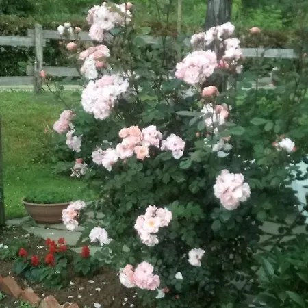 Appartamento Il Mulino Di Geminella *