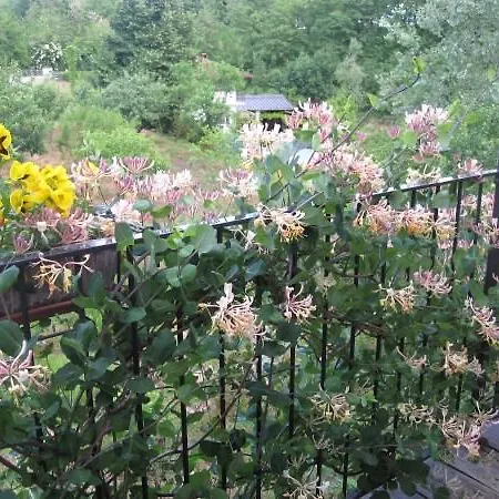 Il Mulino Di Geminella 아파트 나르졸레