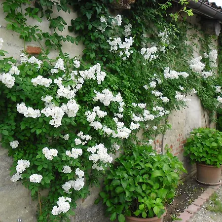 아파트 Il Mulino Di Geminella 나르졸레