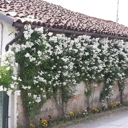 Il Mulino Di Geminella * Narzole