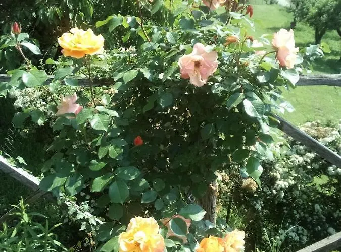 Il Mulino Di Geminella Daire Narzole