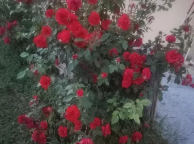 Daire Il Mulino Di Geminella