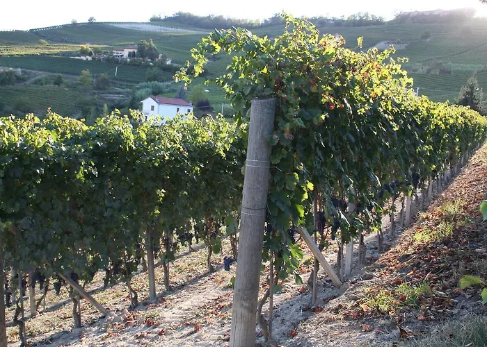 Daire Il Mulino Di Geminella Narzole