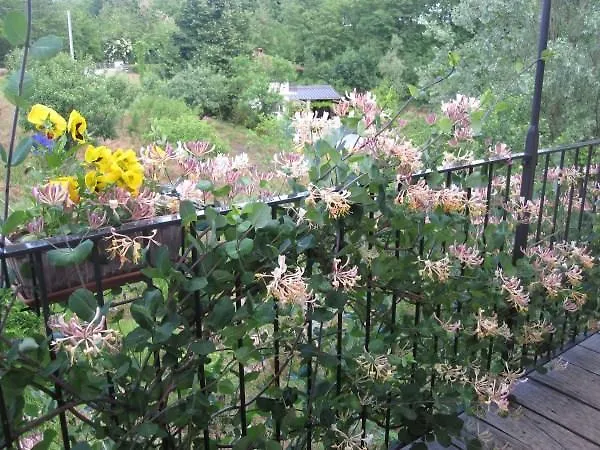 Il Mulino Di Geminella Daire Narzole