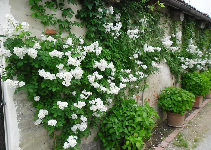 アパート Il Mulino Di Geminella Narzole