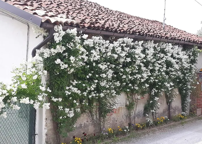 Il Mulino Di Geminella * Narzole